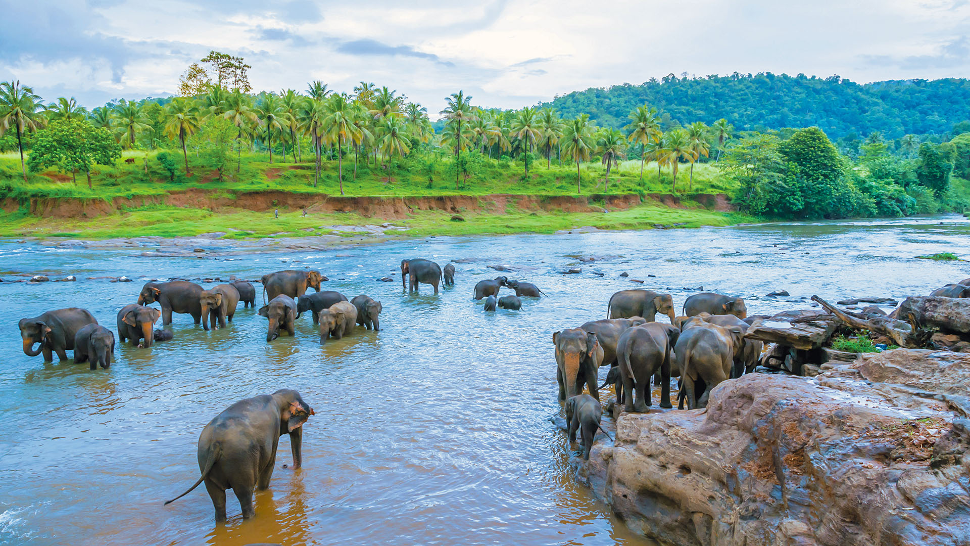 school trips to sri lanka